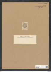 Actinoptychus socius A. Schm. (de-Toni-Nr.: Genus 227, Species 5602) Zeichnungen Sammlung Grunow Nr. 9491 (NHMW-BOT-W0379468)